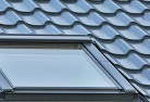 Long Forestskylight-replacements.jpg; ?>